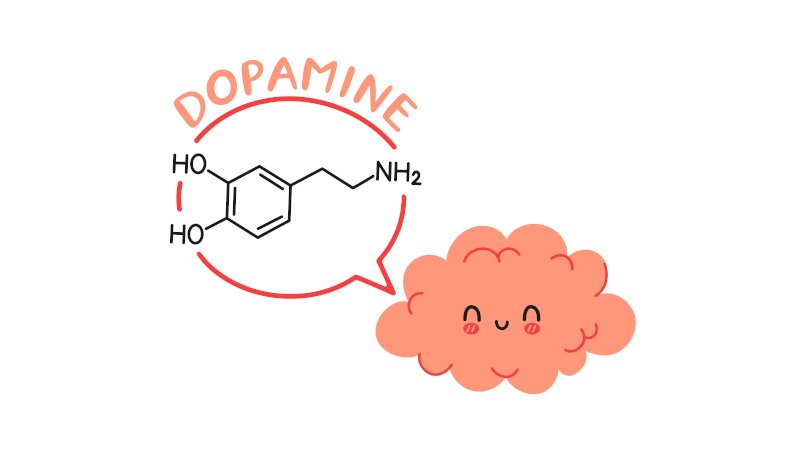 Dopamine và khả năng nhận thức