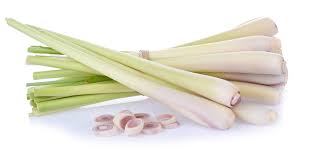 Sả tươi giúp khử mùi phòng tắm