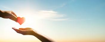 Yêu thương từ những điều nhỏ nhất