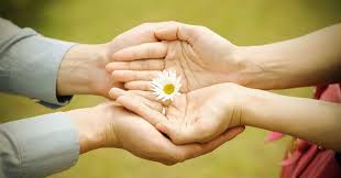 Senziny chúc mừng năm mới từ tấm lòng