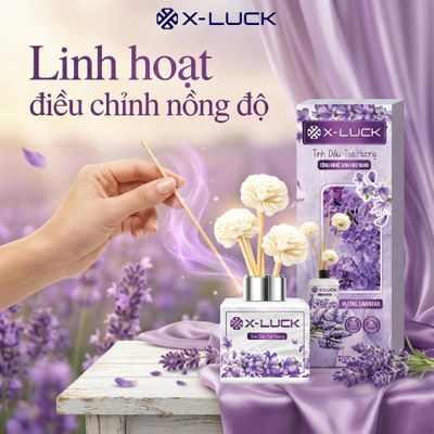 Bảo vệ đồ dùng nội thất khỏi mùi ẩm mốc